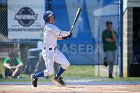 Baseball vs Babson  Wheaton College Baseball vs Babson during Semi final game of the NEWMAC Championship hosted by Wheaton. - (Photo by Keith Nordstrom) : Wheaton, baseball, NEWMAC